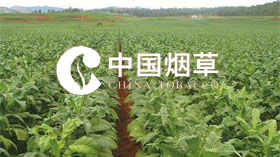 《團體標(biāo)準(zhǔn)在煙農(nóng)專業(yè)合作社的建立與實施》煙草項目成果榮獲省級2019年度科學(xué)技術(shù)進步獎二等獎